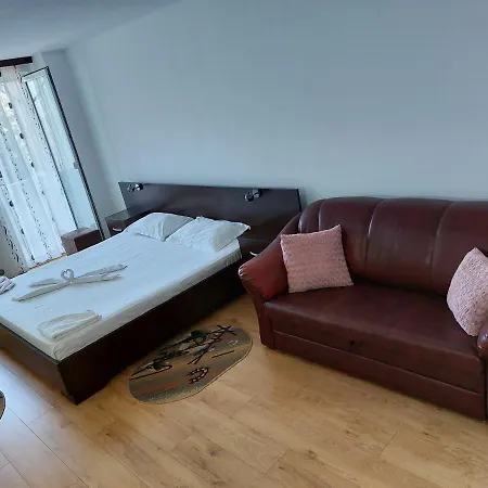 Pensiune Casa Rodica
