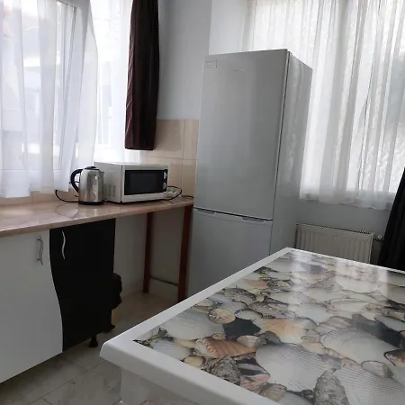 Casa Rodica *