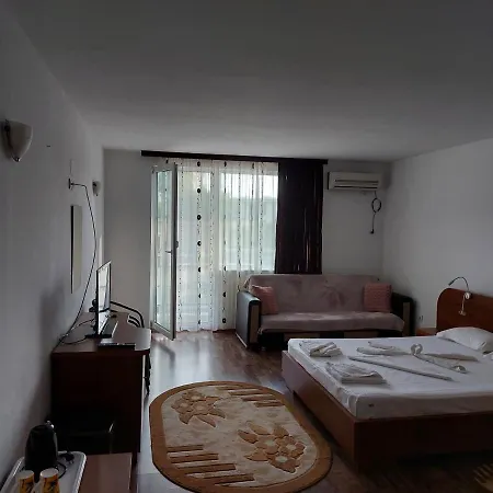 Casa Rodica Πανσιόν *