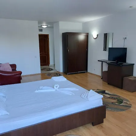 Casa Rodica Gasthof