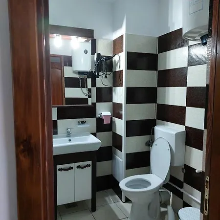 Casa Rodica Πανσιόν *