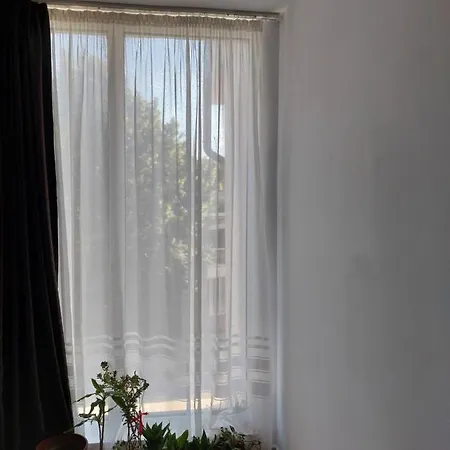 Πανσιόν Casa Rodica Eforie Nord