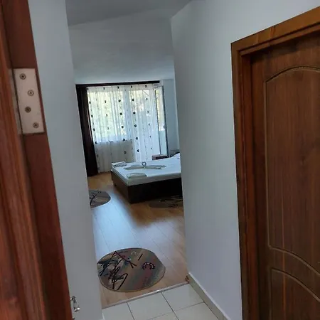 Casa Rodica Πανσιόν *