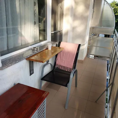 Casa Rodica Πανσιόν *